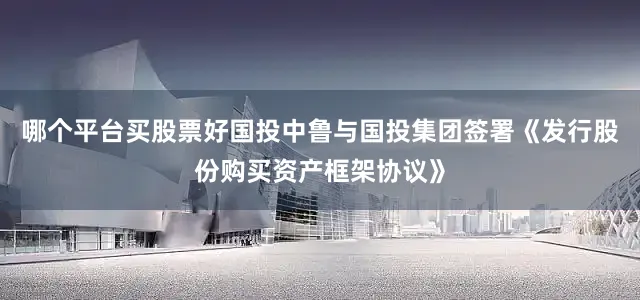 哪个平台买股票好国投中鲁与国投集团签署《发行股份购买资产框架协议》