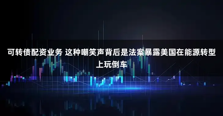 可转债配资业务 这种嘲笑声背后是法案暴露美国在能源转型上玩倒车