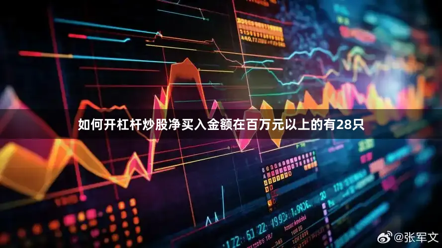 如何开杠杆炒股净买入金额在百万元以上的有28只