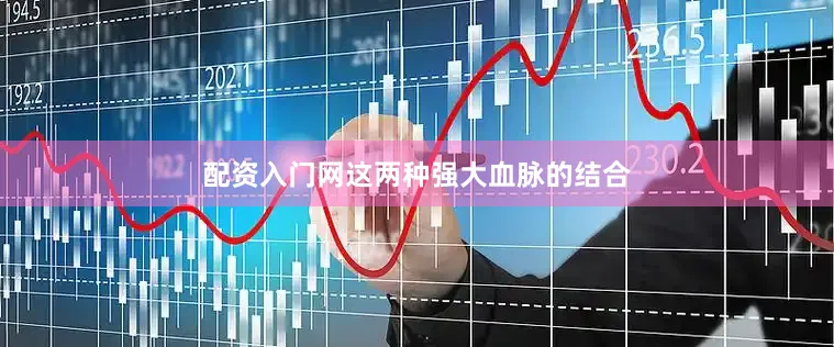 配资入门网这两种强大血脉的结合